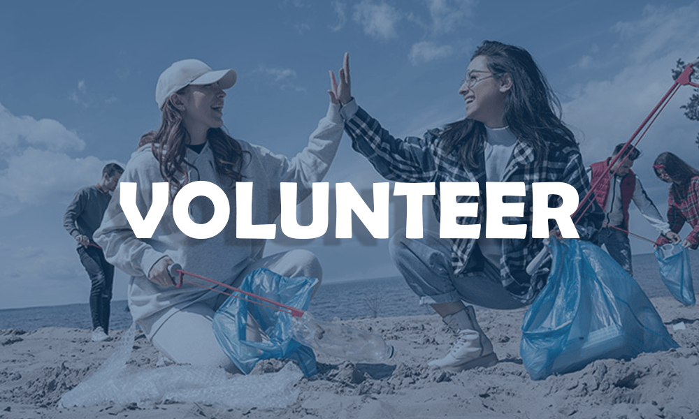Volunteer